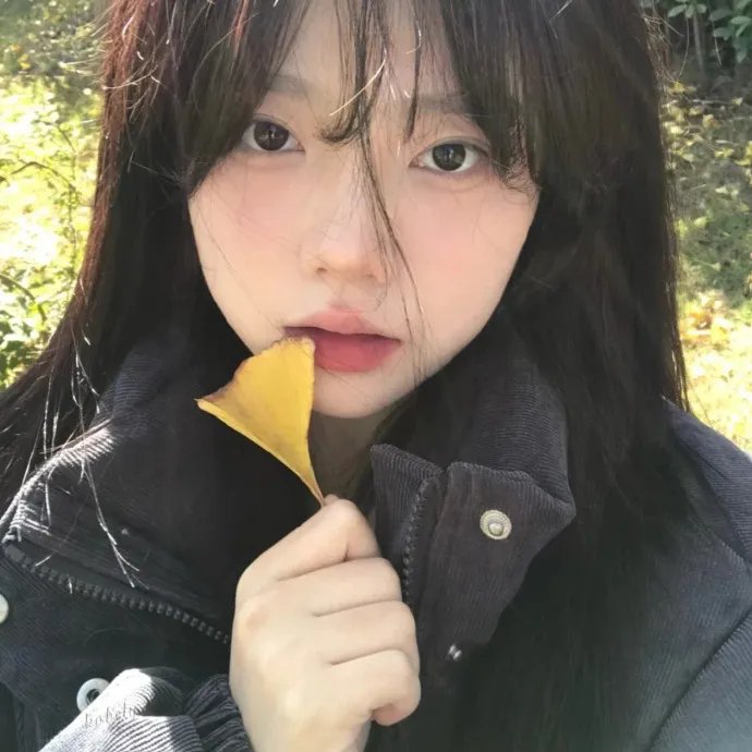 肯塔基女人 海报