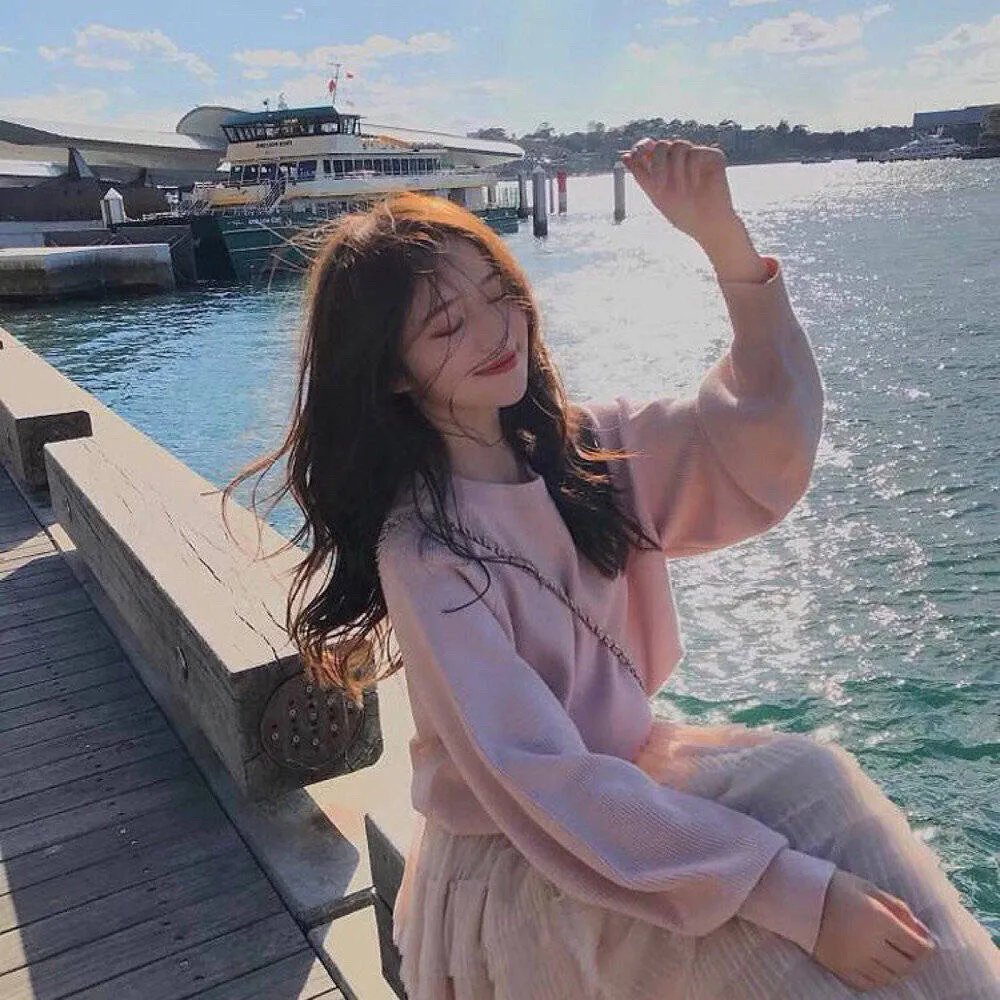 一条狗的使命 海报